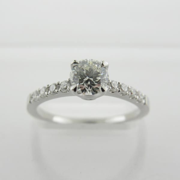 Picture of 9167649_orig